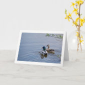 Het Wenskaart van de Vijver van de eend Kaart (Gele Bloem)