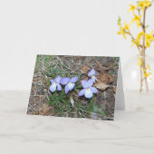 Het Wenskaart van de Viooltjes van de lente Kaart (Gele Bloem)