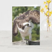 Het Wenskaart van de visarend Kaart (Gele Bloem)