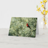 Het Wenskaart van de vliegenvanger Kaart (Gele Bloem)