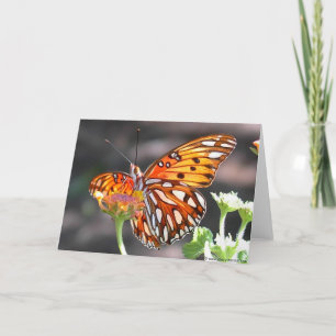 Het Wenskaart van de Vlinder van Fritillary van de Kaart
