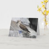 Het Wenskaart van de vogel Kaart (Gele Bloem)