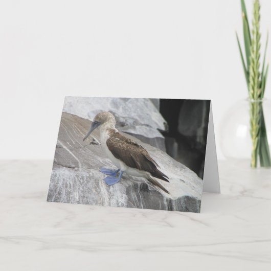 Het Wenskaart van de vogel Kaart (Voorkant)