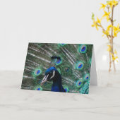 Het Wenskaart van de Vogel van Peafowl Kaart (Gele Bloem)
