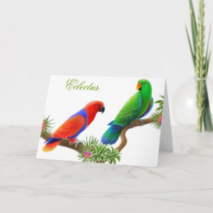 Het Wenskaart van de Vogels van Eclectus Kaart