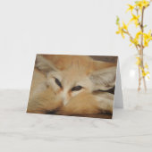 Het Wenskaart van de Vos van Fennec Kaart (Gele Bloem)