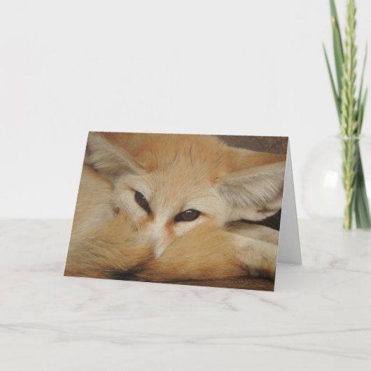 Het Wenskaart van de Vos van Fennec Kaart (Voorkant)