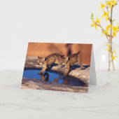 Het Wenskaart van de Welpen van de poema Kaart (Gele Bloem)