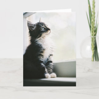 Het Wenskaart van de wensgedachte Kaart