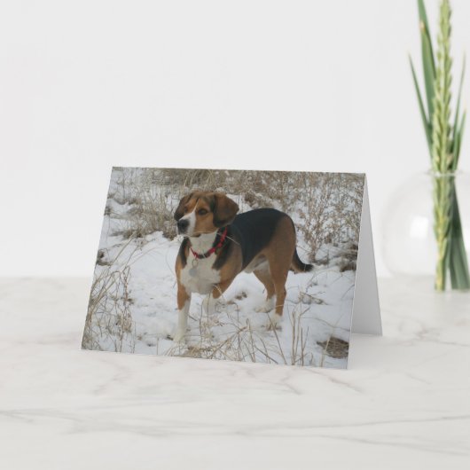 Het Wenskaart van de Winter van de Brak van de Feestdagen Kaart (Voorkant)