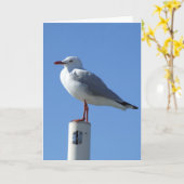 Het Wenskaart van de zeemeeuw Kaart (Gele Bloem)