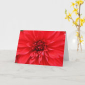 Het Wenskaart van de Zon van de winter Kaart (Gele Bloem)