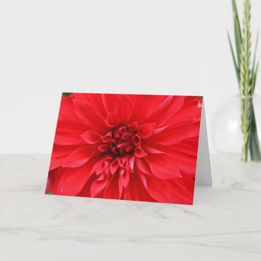 Het Wenskaart van de Zon van de winter Kaart (Voorkant)