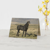 Het Wenskaart van de Zwarte Stallion Wild Horse Kaart (Gele Bloem)