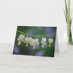 Het Wenskaart van Dicentra Kaart