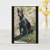 Het wenskaart van Doberman Kaart (Gele Bloem)