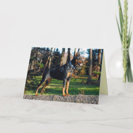 Het Wenskaart van Doberman Kaart