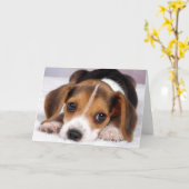 Het Wenskaart van Dogs~Beagle van Ditzy Kaart (Gele Bloem)