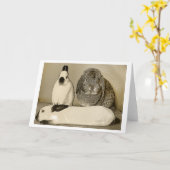 Het Wenskaart van drie Konijntjes Kaart (Gele Bloem)