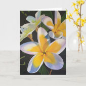 Het Wenskaart van Frangipani van de zomer - Spatie Kaart (Gele Bloem)