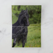 Het Wenskaart van Friesian Horse Kaart (Binnen)