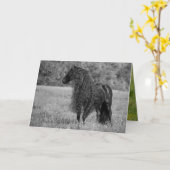 Het Wenskaart van Friesian Horse Kaart (Gele Bloem)