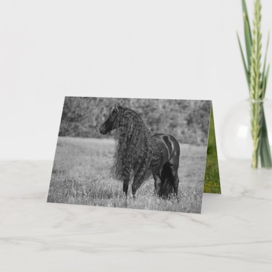 Het Wenskaart van Friesian Horse Kaart (Voorkant)