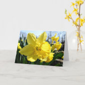 Het Wenskaart van gele narcissen, Spatie binnen Kaart (Gele Bloem)