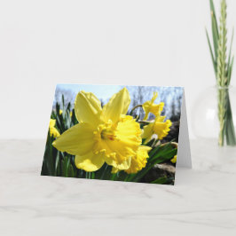 Het Wenskaart van gele narcissen, Spatie binnen Kaart