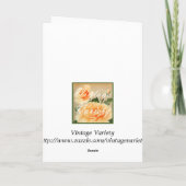 Het Wenskaart van Halloween Kaart (Achterkant)