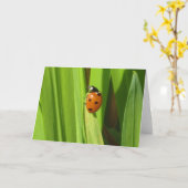 Het Wenskaart van het Afbeelding van de Foto van Kaart (Gele Bloem)