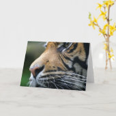 Het Wenskaart van het Afbeelding van de tijger Kaart (Gele Bloem)