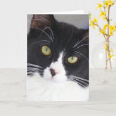 Het Wenskaart van het Gezicht van de Kat van de Kaart (Gele Bloem)