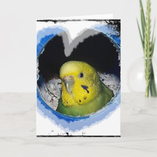 Het Wenskaart van het Hart van de Vogel van de Kaart