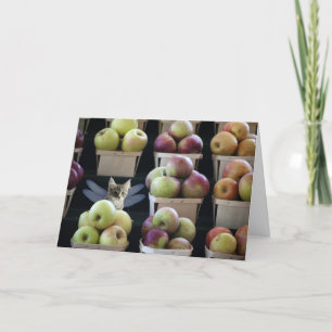 Het wenskaart van het katjescatterfly van de kaart