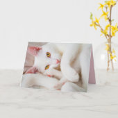 het wenskaart van het knuffelkat kaart (Gele Bloem)