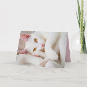 het wenskaart van het knuffelkat kaart