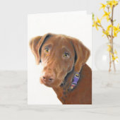 Het wenskaart van het Laboratorium van de Kaart (Gele Bloem)