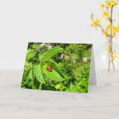 Het Wenskaart van het lieveheersbeestje, Spatie Kaart (Gele Bloem)