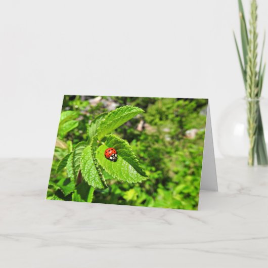 Het Wenskaart van het lieveheersbeestje, Spatie Kaart (Voorkant)