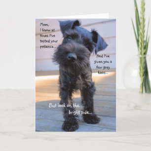 Het Wenskaart van het Moederdag van Schnauzer Kaart