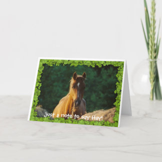 Het wenskaart van het paard kaart