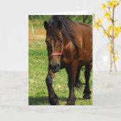 Het Wenskaart van het Paard van het ontwerp Kaart (Gele Bloem)