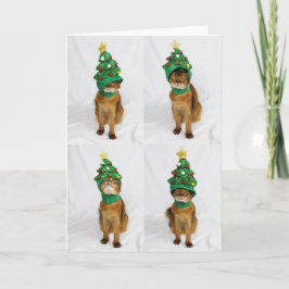 Het Wenskaart van het Pet van de Kerstboom van de Feestdagen Kaart