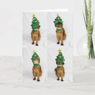 Het Wenskaart van het Pet van de Kerstboom van de Feestdagen Kaart