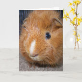 Het Wenskaart van het proefkonijn Kaart (Gele Bloem)