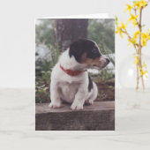 Het wenskaart van het puppy kaart (Gele Bloem)