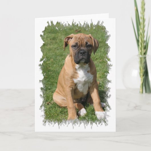 Het Wenskaart van het Puppy van de bokser Kaart (Voorkant)