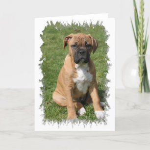 Het Wenskaart van het Puppy van de bokser Kaart