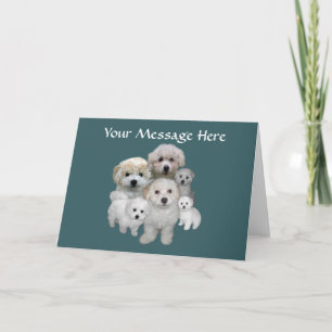 Het Wenskaart van het "puppy" van Frise van Bichon Feestdagen Kaart